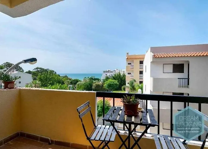 303 - Dream * 알부페이라