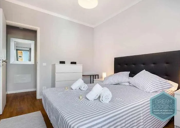 303 - Dream 알부페이라